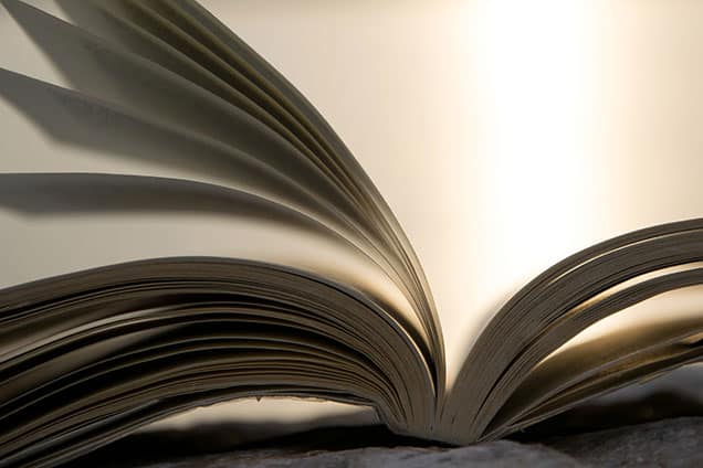 https://maak.elinkstaging.com/wp-content/uploads/2024/03/literature.jpg